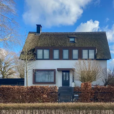 Beautiful In With Wifi *